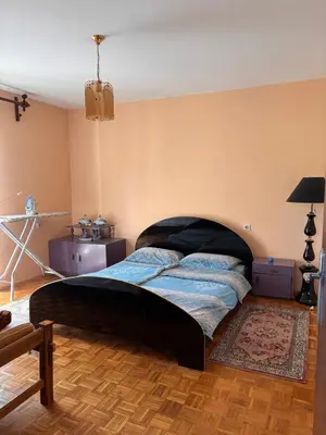 a bedroom with a large bed in a room at Kuća za odmor braća Jevtić Vrnjačka Banja in Vrnjačka Banja