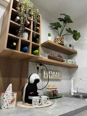 a kitchen counter with a sink and some plants at SpaNish apartman 5 in Niš