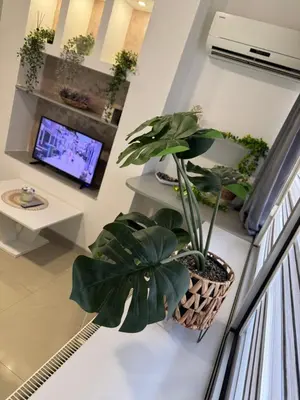 a living room with plants on the wall and a television at SpaNish apartman 6 in Niš