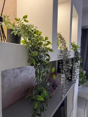 a bunch of potted plants sitting on a counter at SpaNish apartman 6 in Niš