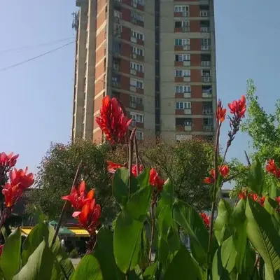 Hotel Konaciste Trstenik