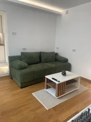 a living room with a green couch and a coffee table at Apartment Jovic in Niš