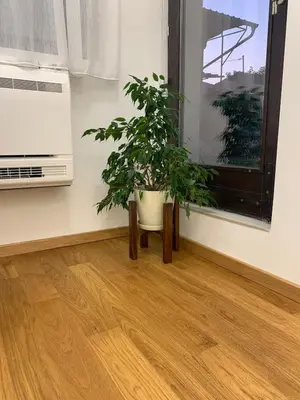 a plant sitting on a table next to a window at Apartment Jovic in Niš