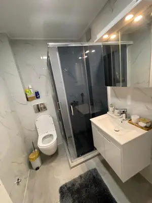 a bathroom with a shower and a toilet and a sink at Niš Deluxe in Niš