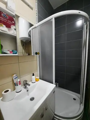 a bathroom with a shower and a sink and a toilet at Sunčana oaza in Vrnjačka Banja