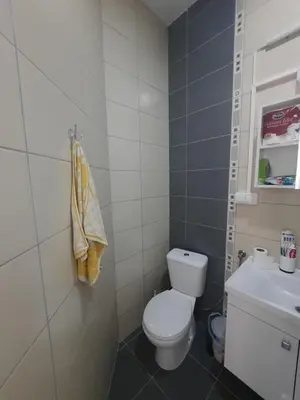 a small bathroom with a toilet and a sink at Sunčana oaza in Vrnjačka Banja