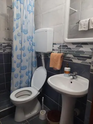 a bathroom with a toilet and a sink at Vila Ramona Sokobanja in Soko Banja