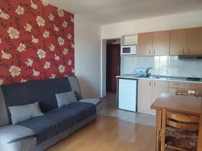a living room with a couch and a kitchen at Vila Ramona Sokobanja in Soko Banja