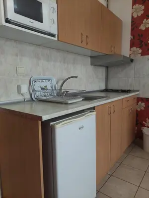 a kitchen with a sink and a dishwasher at Vila Ramona Sokobanja in Soko Banja