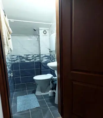 a bathroom with a toilet and a shower and a sink at Vila Ramona Sokobanja in Soko Banja