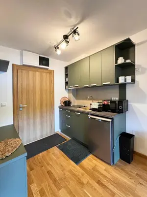 a kitchen with green cabinets and a wooden door at Apartman My Dream in Vrnjačka Banja