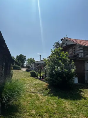 a yard with a house and a tree at Kod Baka Olge in Bukorovac