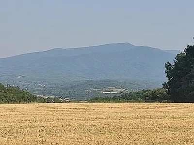 a field of wheat with a mountain in the background at Kuća Pored Sunca in Kruševac