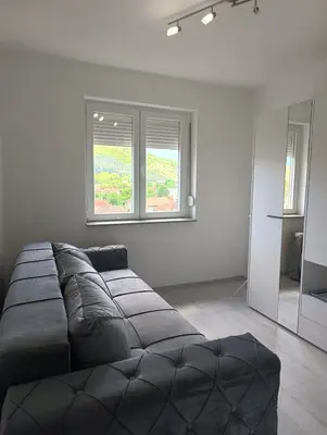 a leather couch in a room with two windows at Doma Toma, Bela Palanka Town in Bela Palanka