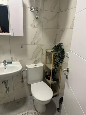 a white bathroom with a toilet and a sink at Apt 2- Sokobanjica apartmani in Soko Banja