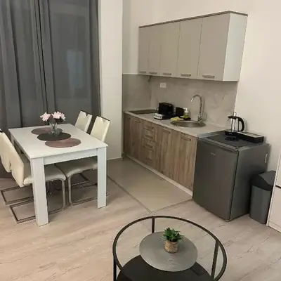 Apt 2- Sokobanjica apartmani