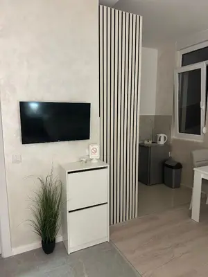 a living room with a television on a wall at Apt 7- Sokobanjica apartmani in Soko Banja
