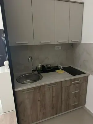 a kitchen with a sink and white cabinets at Apt 7- Sokobanjica apartmani in Soko Banja