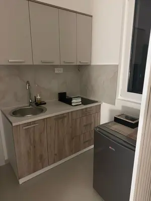 a small kitchen with a sink and a dishwasher at Apt 6- Sokobanjica apartmani in Soko Banja