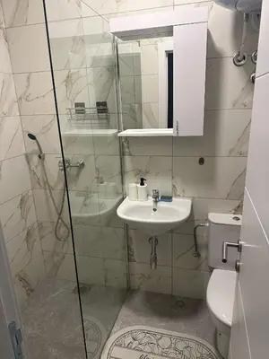 a bathroom with a sink and a shower and a toilet at Apt 6- Sokobanjica apartmani in Soko Banja