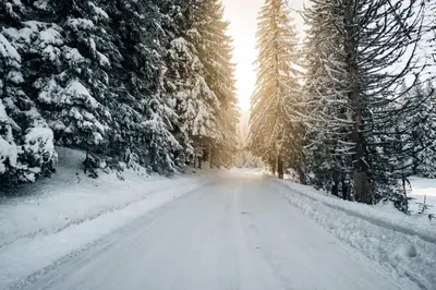 a snowy road with snow covered trees on it at Snow Hill Kopaonik in Kopaonik