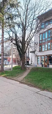 a tree in the grass in front of a building at Apricus Mini Apartman Vrnjacka banja in Vrnjačka Banja
