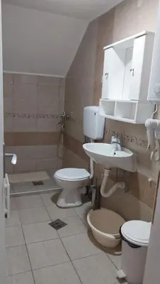 a bathroom with a toilet and a sink at Orhideja smeštaj Sokobanja in Lepterija