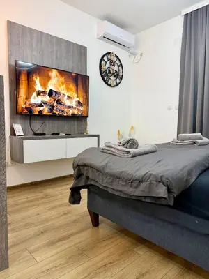 a bedroom with a fireplace and a bed and a clock at Royal Apartmani 2 in Paraćin