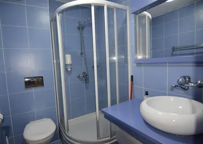 a bathroom with a shower and a sink and a toilet at Cvetni konaci-Lenka in Vrnjačka Banja
