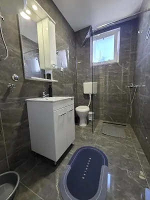 a bathroom with a shower and a toilet and a sink at Studio IV in Soko Banja