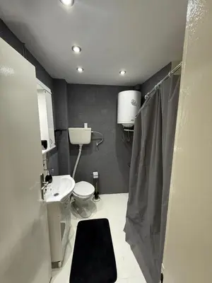 a bathroom with a toilet and a sink at Stan na dan Despotovac in Despotovac