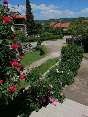 a garden with roses and a stone walkway at Apartmani Sokobanja Alexandar in Soko Banja