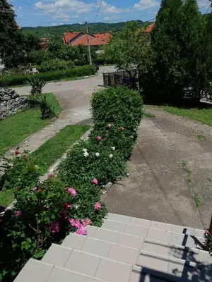 a walkway with flowers in a yard at Apartmani Sokobanja Alexandar in Soko Banja