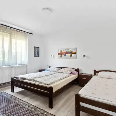 Apartmani Sokobanja Alexandar