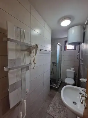 a bathroom with a sink and a toilet at Zlatibor studio Lilly in Bukorovac