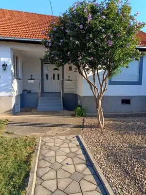 a house with a tree in front of it at Home Well Apartman Vranje in Vranje