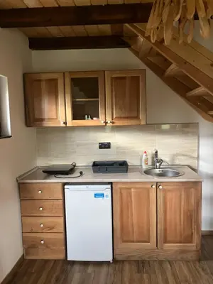 a kitchen with a white refrigerator and a sink at Semeteška bajka in Raška