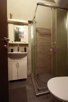 a bathroom with a shower and a sink and a toilet at Mladenović Kuća in Kopaonik