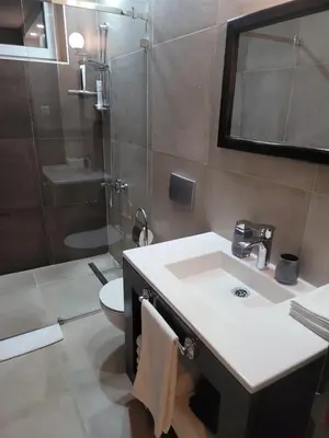 a bathroom with a sink and a shower and a toilet at Zoi i Nika Kopaonik in Kopaonik