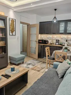 a living room with a couch and a kitchen at Apartman Amber Vrnjačka Banja in Vrnjci