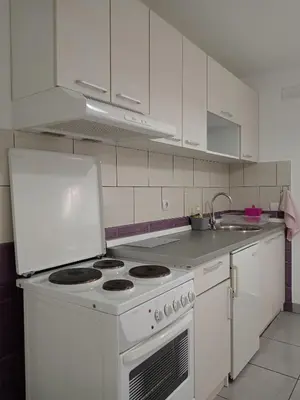 a white kitchen with a stove and a sink at Smeštaj Golubica 1 in Soko Banja