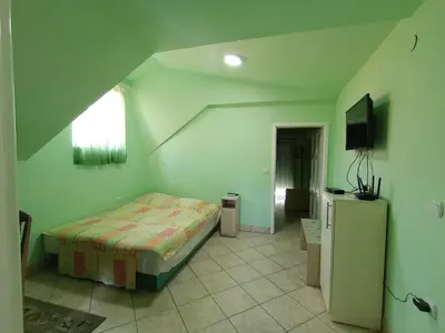 a bedroom with a bed and a television in it at Smeštaj Golubica 3 in Soko Banja