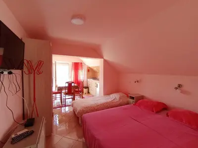 a hotel room with two beds and a television at Smeštaj Golubica 4 in Soko Banja