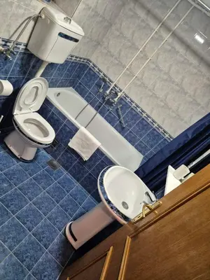 a bathroom with a toilet and a sink at Toplica in Vrnjačka Banja