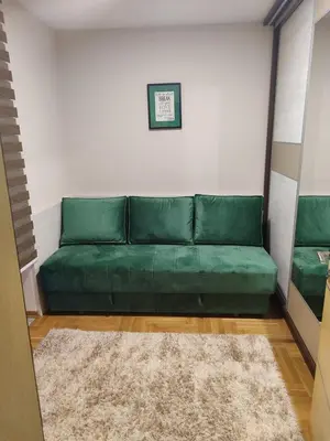 a green couch in a living room with a rug at Apartman Stefan Vrnjacka Banja in Vrnjačka Banja