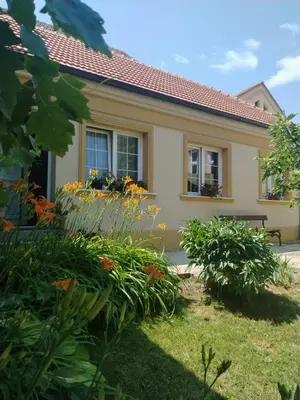 a house with flowers in front of a yard at Kuća Petrovića in Aleksandrovac