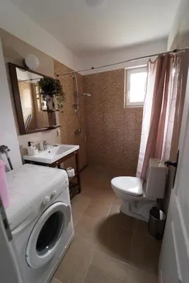 a bathroom with a washing machine and a toilet at Kuća Petrovića in Aleksandrovac