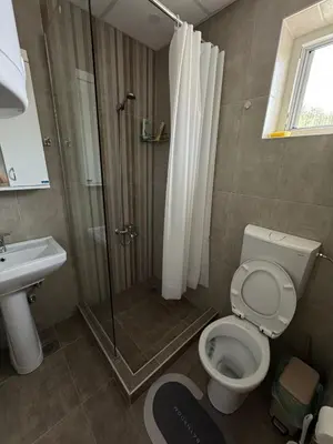 a bathroom with a shower and a toilet and a sink at Apartmani Luna, Borsko jezero in Bor