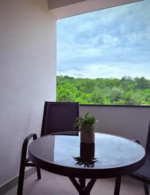 a table with a potted plant on it in front of a window at CHlLL HILL in Vrnjačka Banja