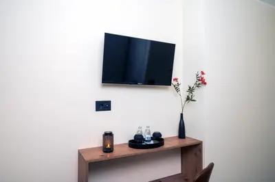 a tv on a wall with a vase of flowers on a table at Lisine Lepo Mesto Guesthouse & Spa in Strmosten